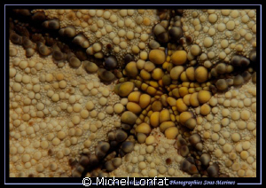 Patterns in the water's of Lembeh Strait.... :O) by Michel Lonfat 